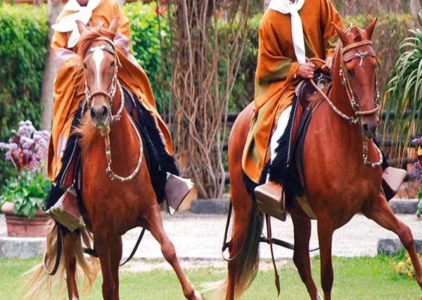 Pachacamac y Caballos de Paso