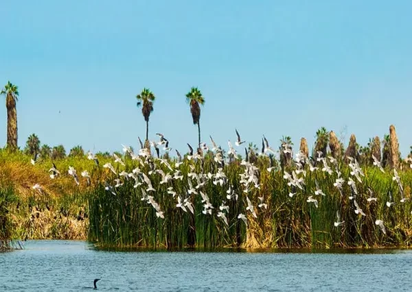 Pantanos de Villa