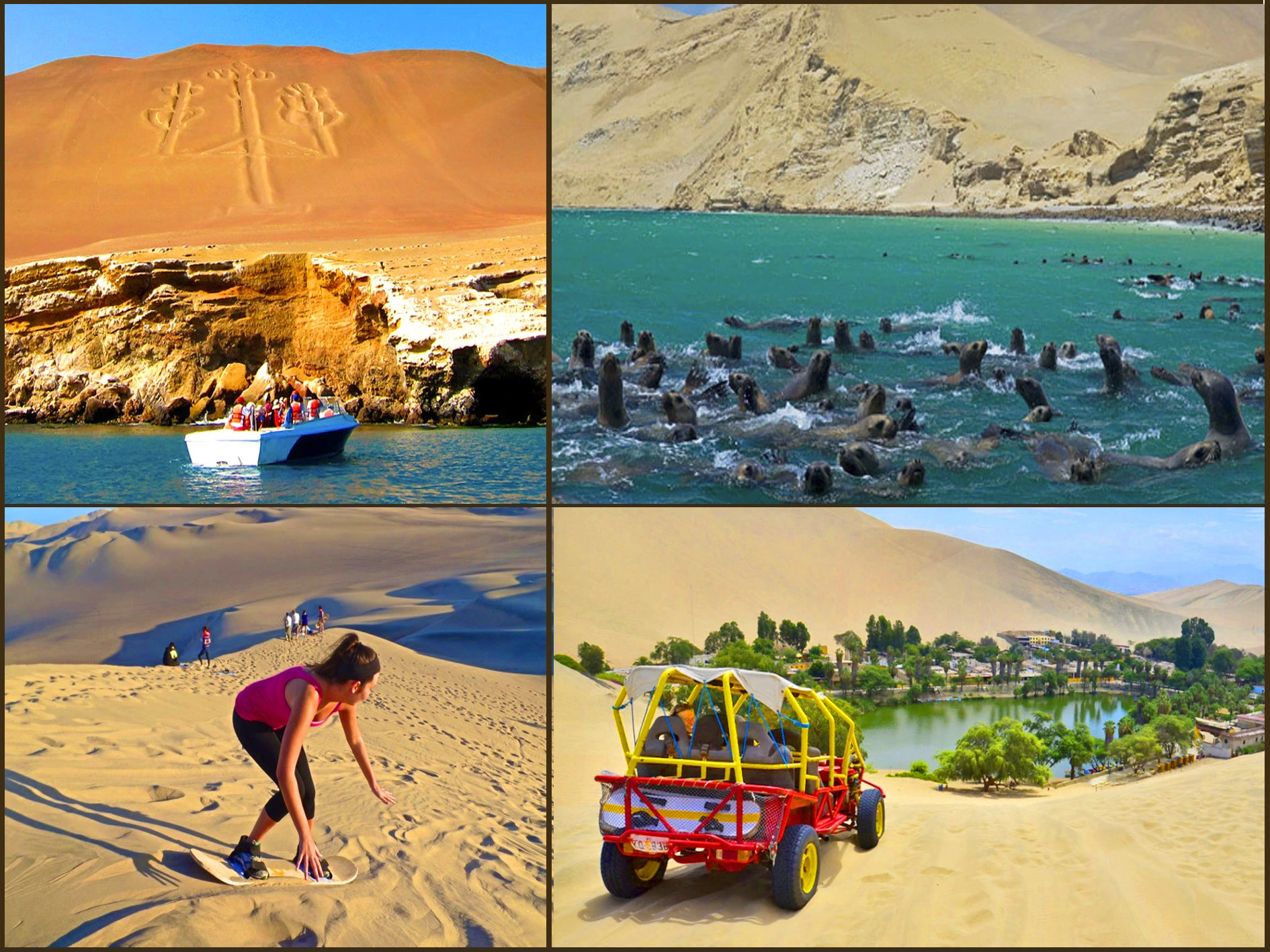 full day en ica y paracas